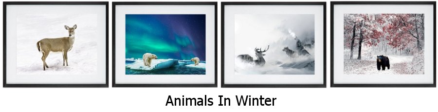 Animals In Winter Framed Prints